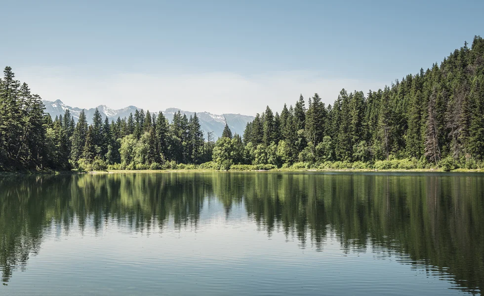 The image features a calm lake, surrounded by trees, with a mountain in the distance. The water in the lake is very still, creating a peaceful and serene atmosphere.