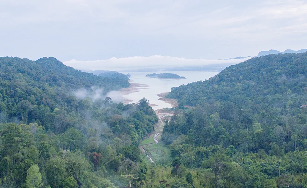 View from above of the mouth of the river to the sea, WWF Malaysia (photo)