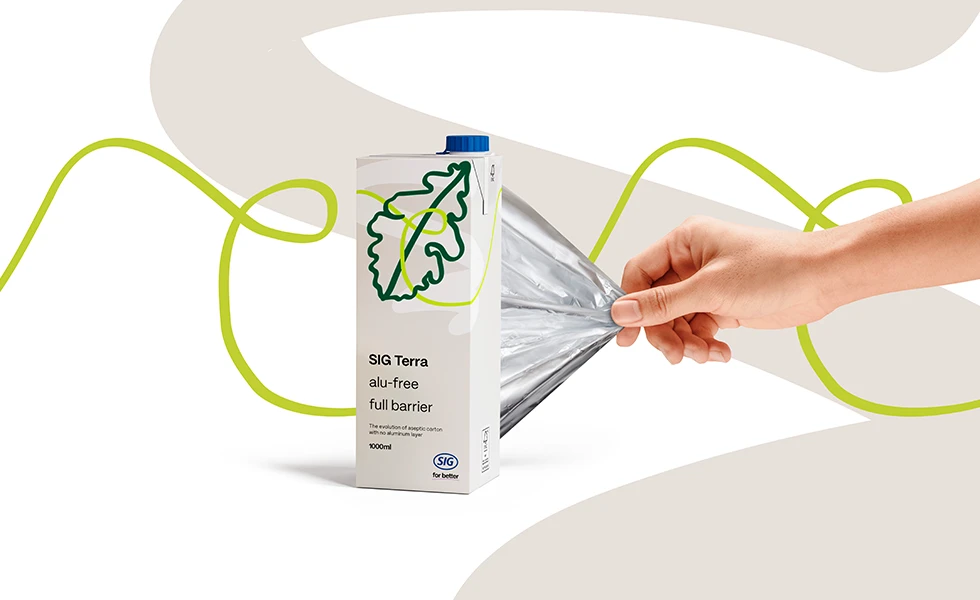 SIG terra carton (photo)